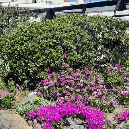 公寓 Luxe Port Nature 2 *