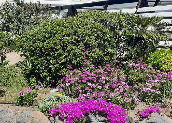 Апартаменты Luxe Port Nature 2 *